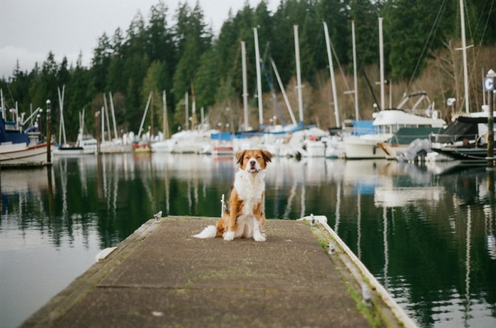 Minolta srt 201 kodak ultra max seattle