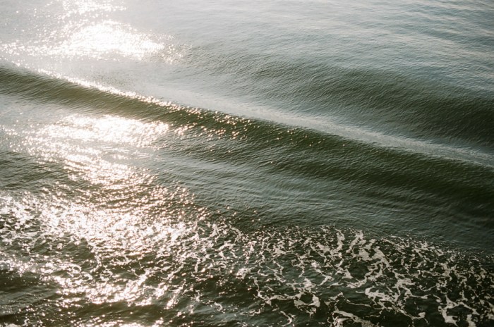 nikon f100 kodak gold 200 film seattle