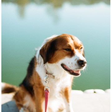 nikon f100 kodak gold 200 film seattle