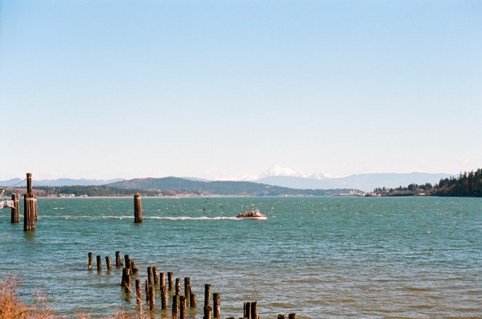 kodak ektar 100 anacortes ferry film photography