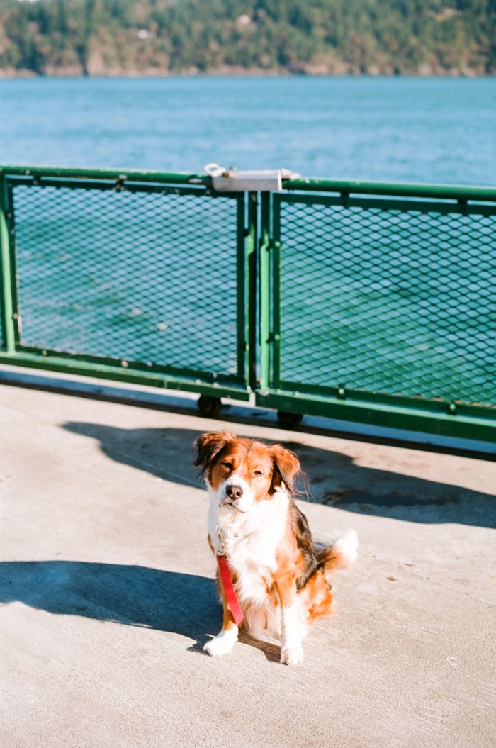 kodak ektar 100 anacortes ferry film photography
