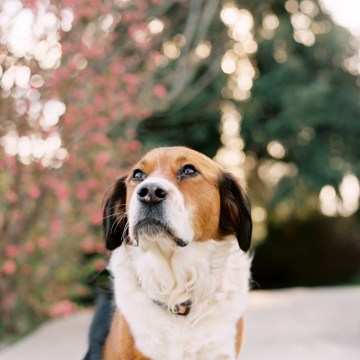 fuji 400h contax 645 The Find Lab